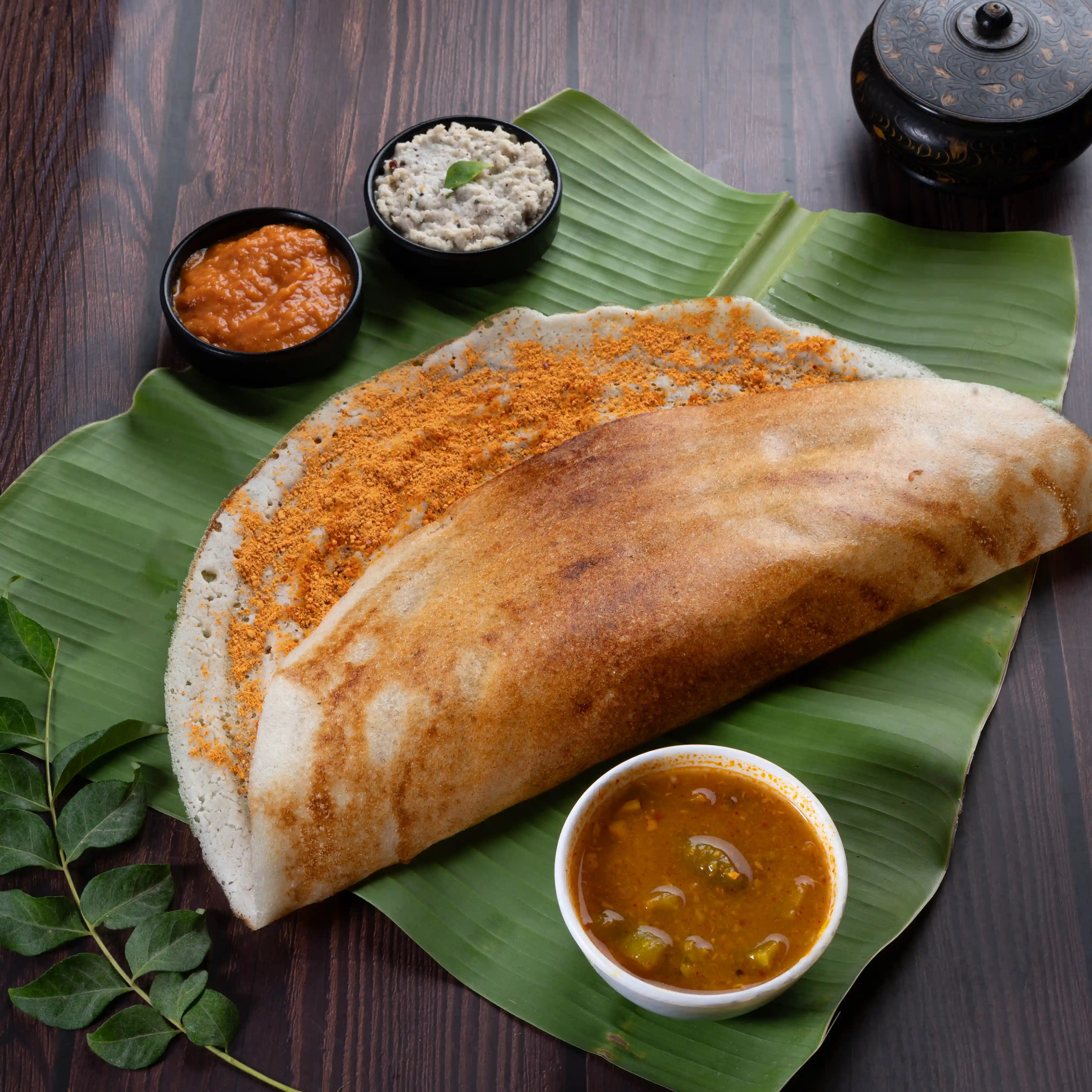 Explore Our Gallery2